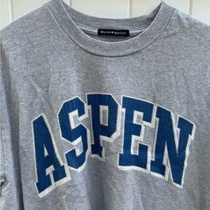 Aspen Brandy Melville Grey Tee